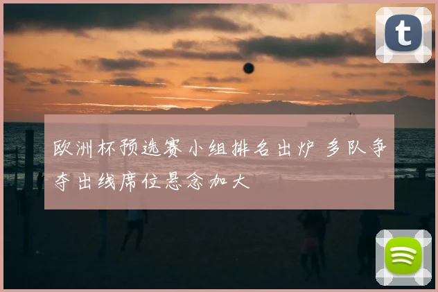 欧洲杯预选赛小组排名出炉 多队争夺出线席位悬念加大