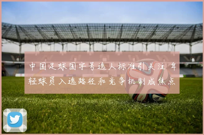 中国足球国字号选人标准引关注 年轻球员入选路径和竞争机制成焦点