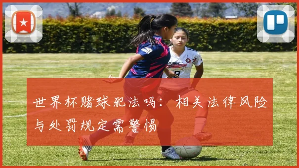 世界杯赌球犯法吗:相关法律风险与处罚规定需警惕
